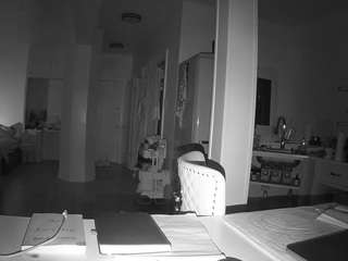 voyeurcam-celticiron-02