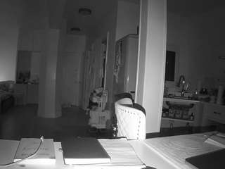 voyeurcam-celticiron-02