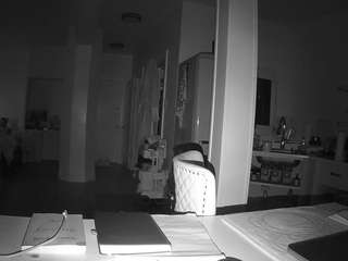 voyeurcam-celticiron-02