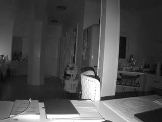 voyeurcam-celticiron-02