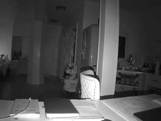 voyeurcam-celticiron-02