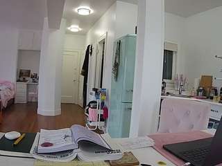 voyeurcam-celticiron-02