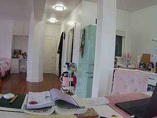 voyeurcam-celticiron-02