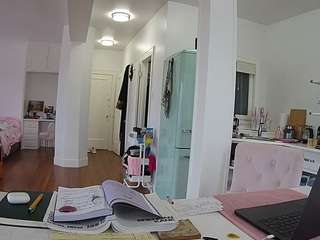 voyeurcam-celticiron-02