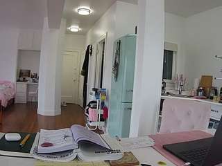 voyeurcam-celticiron-02