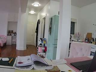 voyeurcam-celticiron-02