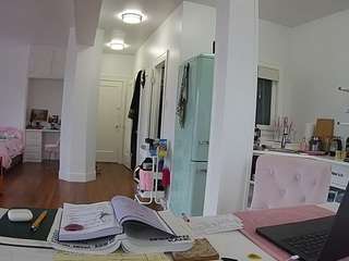 voyeurcam-celticiron-02