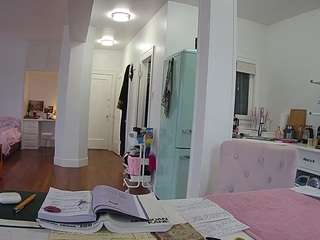 voyeurcam-celticiron-02