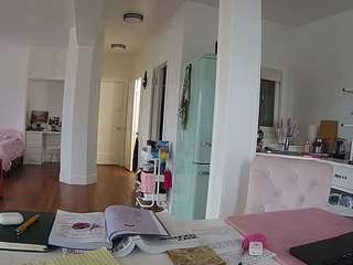 voyeurcam-celticiron-02