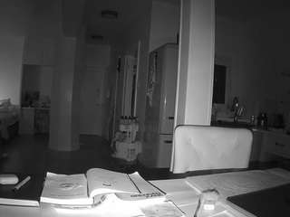 voyeurcam-celticiron-02