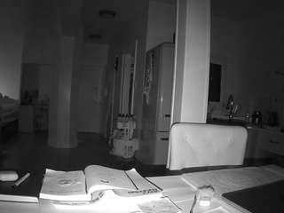 voyeurcam-celticiron-02