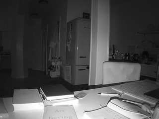 voyeurcam-celticiron-02