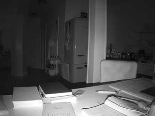 voyeurcam-celticiron-02