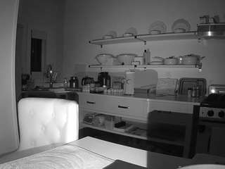 voyeurcam-celticiron-02