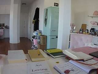 voyeurcam-celticiron-02