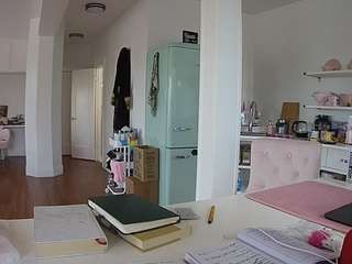 voyeurcam-celticiron-02