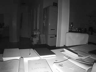 voyeurcam-celticiron-02