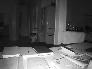 voyeurcam-celticiron-02