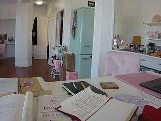 voyeurcam-celticiron-02