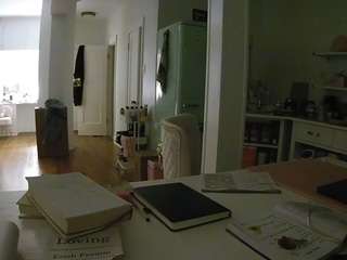 voyeurcam-celticiron-02