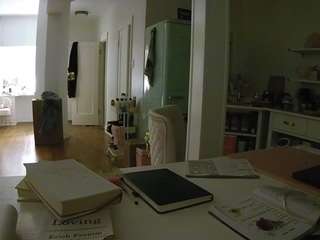 voyeurcam-celticiron-02