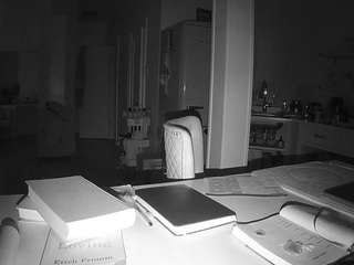 voyeurcam-celticiron-02