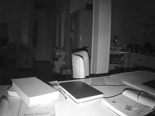 voyeurcam-celticiron-02