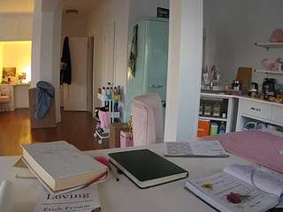 voyeurcam-celticiron-02