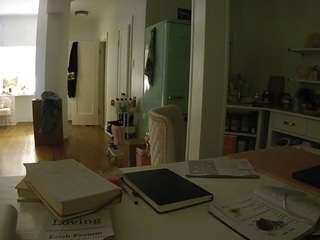 voyeurcam-celticiron-02