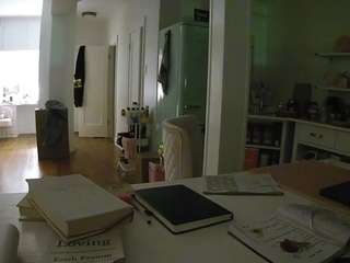 voyeurcam-celticiron-02