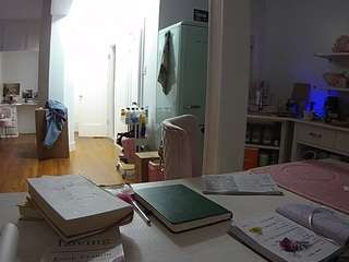 voyeurcam-celticiron-02