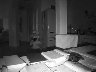 voyeurcam-celticiron-02