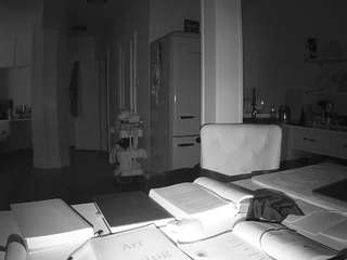 voyeurcam-celticiron-02