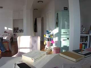 voyeurcam-celticiron-02