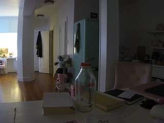 voyeurcam-celticiron-02