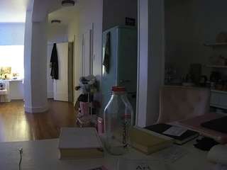 voyeurcam-celticiron-02