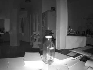 voyeurcam-celticiron-02