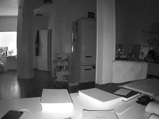 voyeurcam-celticiron-02