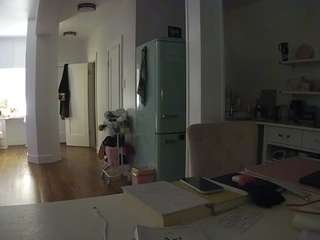 voyeurcam-celticiron-02