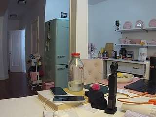 voyeurcam-celticiron-02