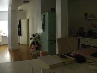 voyeurcam-celticiron-02