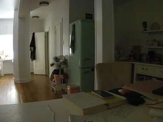 voyeurcam-celticiron-02