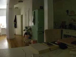 voyeurcam-celticiron-02