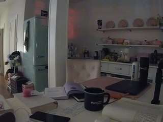 voyeurcam-celticiron-02