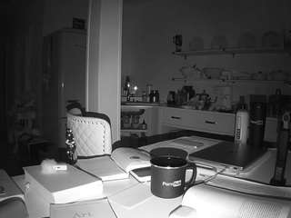 voyeurcam-celticiron-02