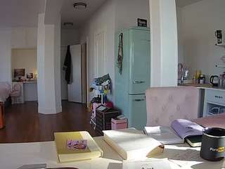 voyeurcam-celticiron-02