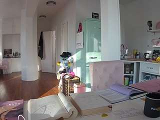 voyeurcam-celticiron-02