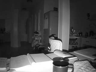 voyeurcam-celticiron-02