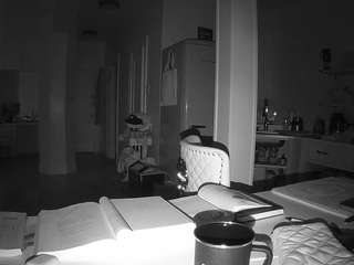 voyeurcam-celticiron-02