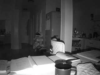 voyeurcam-celticiron-02